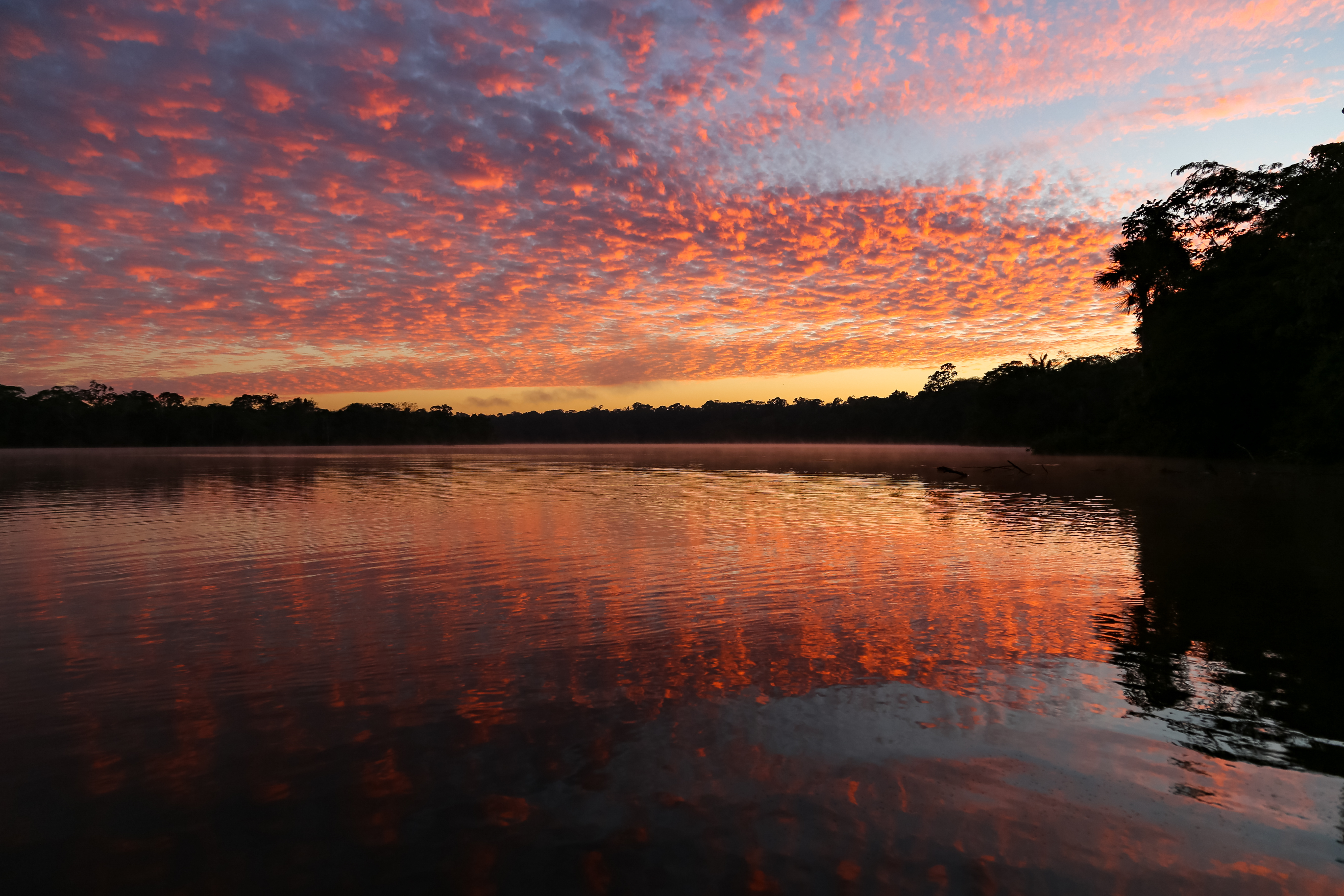 Escapada Amazonía Tambopata